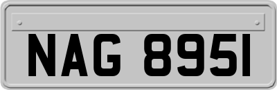 NAG8951