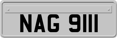 NAG9111