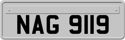 NAG9119
