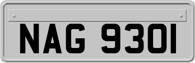 NAG9301