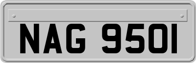 NAG9501