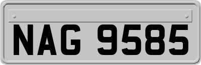 NAG9585