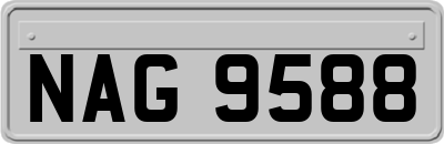 NAG9588