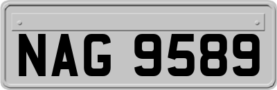 NAG9589