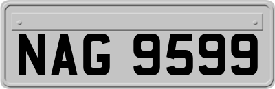 NAG9599