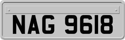 NAG9618