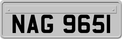 NAG9651