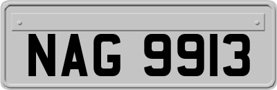 NAG9913