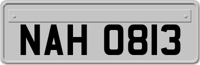 NAH0813