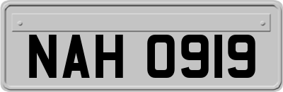 NAH0919