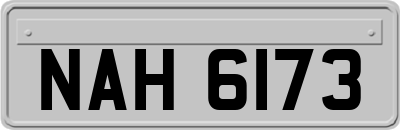 NAH6173