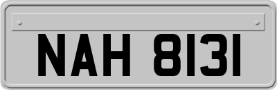 NAH8131