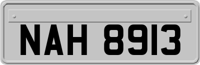 NAH8913