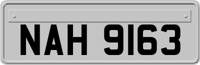 NAH9163