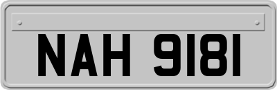 NAH9181