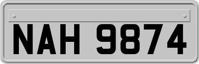 NAH9874