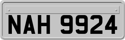 NAH9924