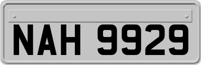 NAH9929