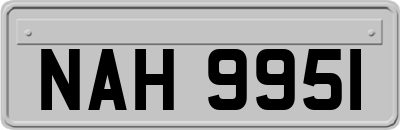 NAH9951