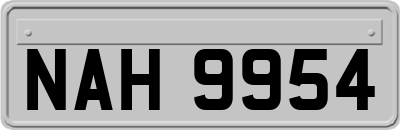 NAH9954