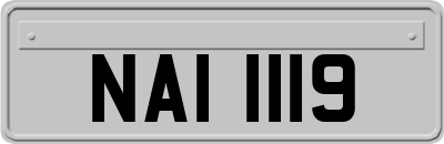 NAI1119