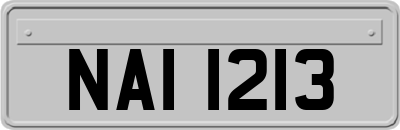 NAI1213