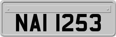 NAI1253