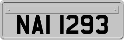 NAI1293