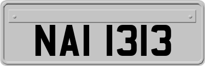 NAI1313