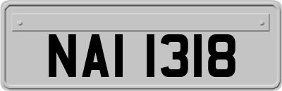 NAI1318