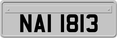 NAI1813