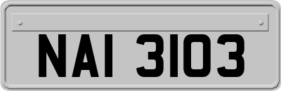 NAI3103