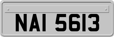 NAI5613