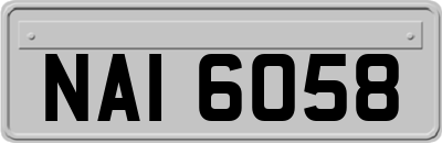 NAI6058