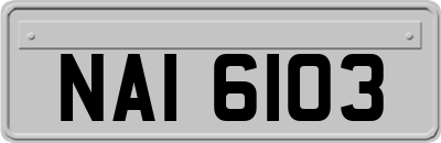 NAI6103