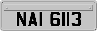 NAI6113