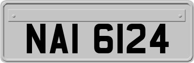 NAI6124