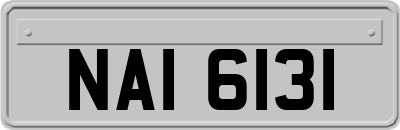 NAI6131