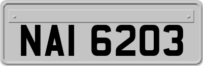 NAI6203