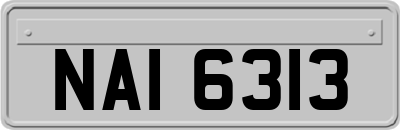 NAI6313