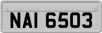 NAI6503