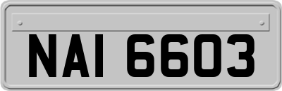 NAI6603