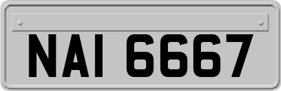 NAI6667