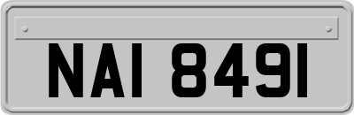 NAI8491