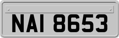 NAI8653