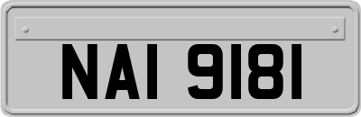 NAI9181