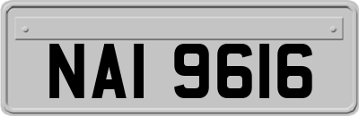 NAI9616