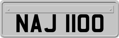 NAJ1100