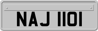 NAJ1101