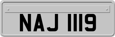 NAJ1119